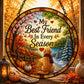 Best Friend In Every Season Suncatcher